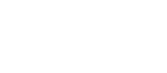 Polis Consultores